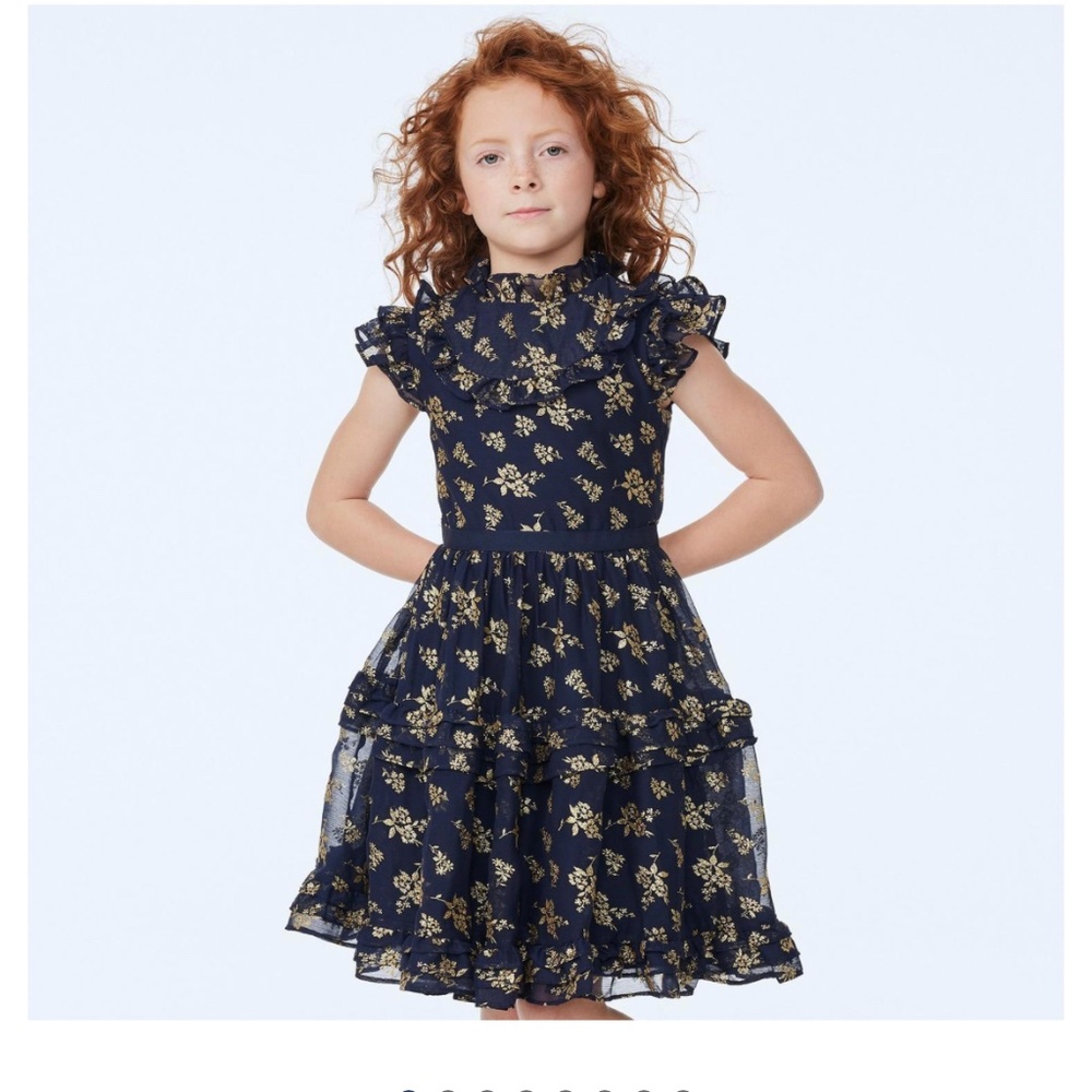 Sparkle Holiday Dress